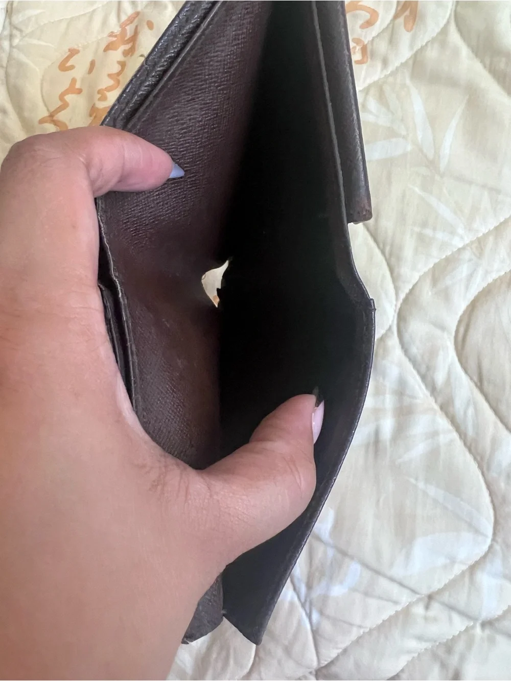 Louis Vuitton Damier Ebene Project Bi-Fold Wallet